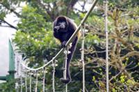 Sky Walk &ndash; &copy; Astrid Fuhse (Eberhardt TRAVEL)