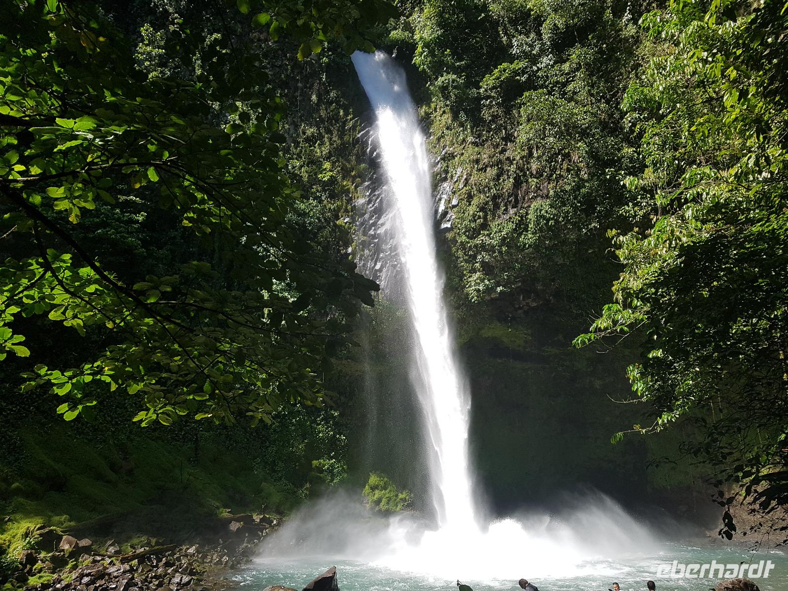 17 Tage Rundreise Costa Rica – einzigartige Naturreise San José – Vulkane Poas & Arenal – Braulio Carrillo NP – Cahuita NP – Tortuguero NP – Monteverde – Santa Elena – Carara NP – Marino Ballen (904) &ndash; &copy; Benjamin Rodriguez Manzanares (Eberhardt TRAVEL)