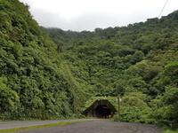 17 Tage Rundreise Costa Rica – einzigartige Naturreise San José – Vulkane Poas & Arenal – Braulio Carrillo NP – Cahuita NP – Tortuguero NP – Monteverde – Santa Elena – Carara NP – Marino Ballen (218) &ndash; &copy; Benjamin Rodriguez Manzanares (Eberhardt TRAVEL)