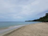 17 Tage Rundreise Costa Rica – einzigartige Naturreise San José – Vulkane Poas & Arenal – Braulio Carrillo NP – Cahuita NP – Tortuguero NP – Monteverde – Santa Elena – Carara NP – Marino Ballen (338) &ndash; &copy; Benjamin Rodriguez Manzanares (Eberhardt TRAVEL)