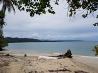 17 Tage Rundreise Costa Rica – einzigartige Naturreise San José – Vulkane Poas & Arenal – Braulio Carrillo NP – Cahuita NP – Tortuguero NP – Monteverde – Santa Elena – Carara NP – Marino Ballen (359) &ndash; &copy; Benjamin Rodriguez Manzanares (Eberhardt TRAVEL)