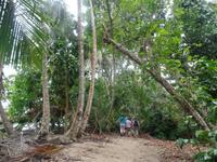 17 Tage Rundreise Costa Rica – einzigartige Naturreise San José – Vulkane Poas & Arenal – Braulio Carrillo NP – Cahuita NP – Tortuguero NP – Monteverde – Santa Elena – Carara NP – Marino Ballen (468) &ndash; &copy; Benjamin Rodriguez Manzanares (Eberhardt TRAVEL)