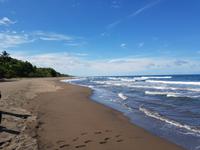 17 Tage Rundreise Costa Rica – einzigartige Naturreise San José – Vulkane Poas & Arenal – Braulio Carrillo NP – Cahuita NP – Tortuguero NP – Monteverde – Santa Elena – Carara NP – Marino Ballen (507) &ndash; &copy; Benjamin Rodriguez Manzanares (Eberhardt TRAVEL)
