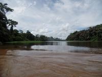 17 Tage Rundreise Costa Rica – einzigartige Naturreise San José – Vulkane Poas & Arenal – Braulio Carrillo NP – Cahuita NP – Tortuguero NP – Monteverde – Santa Elena – Carara NP – Marino Ballen (550) &ndash; &copy; Benjamin Rodriguez Manzanares (Eberhardt TRAVEL)