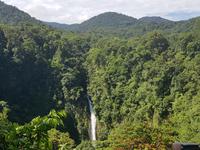 17 Tage Rundreise Costa Rica – einzigartige Naturreise San José – Vulkane Poas & Arenal – Braulio Carrillo NP – Cahuita NP – Tortuguero NP – Monteverde – Santa Elena – Carara NP – Marino Ballen (901) &ndash; &copy; Benjamin Rodriguez Manzanares (Eberhardt TRAVEL)