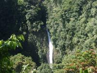 17 Tage Rundreise Costa Rica – einzigartige Naturreise San José – Vulkane Poas & Arenal – Braulio Carrillo NP – Cahuita NP – Tortuguero NP – Monteverde – Santa Elena – Carara NP – Marino Ballen (976) &ndash; &copy; Benjamin Rodriguez Manzanares (Eberhardt TRAVEL)