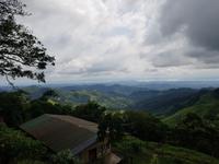 17 Tage Rundreise Costa Rica – einzigartige Naturreise San José – Vulkane Poas & Arenal – Braulio Carrillo NP – Cahuita NP – Tortuguero NP – Monteverde – Santa Elena – Carara NP – Marino Ballen (1078) &ndash; &copy; Benjamin Rodriguez Manzanares (Eberhardt TRAVEL)