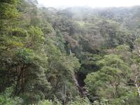 17 Tage Rundreise Costa Rica – einzigartige Naturreise San José – Vulkane Poas & Arenal – Braulio Carrillo NP – Cahuita NP – Tortuguero NP – Monteverde – Santa Elena – Carara NP – Marino Ballen (1191) &ndash; &copy; Benjamin Rodriguez Manzanares (Eberhardt TRAVEL)