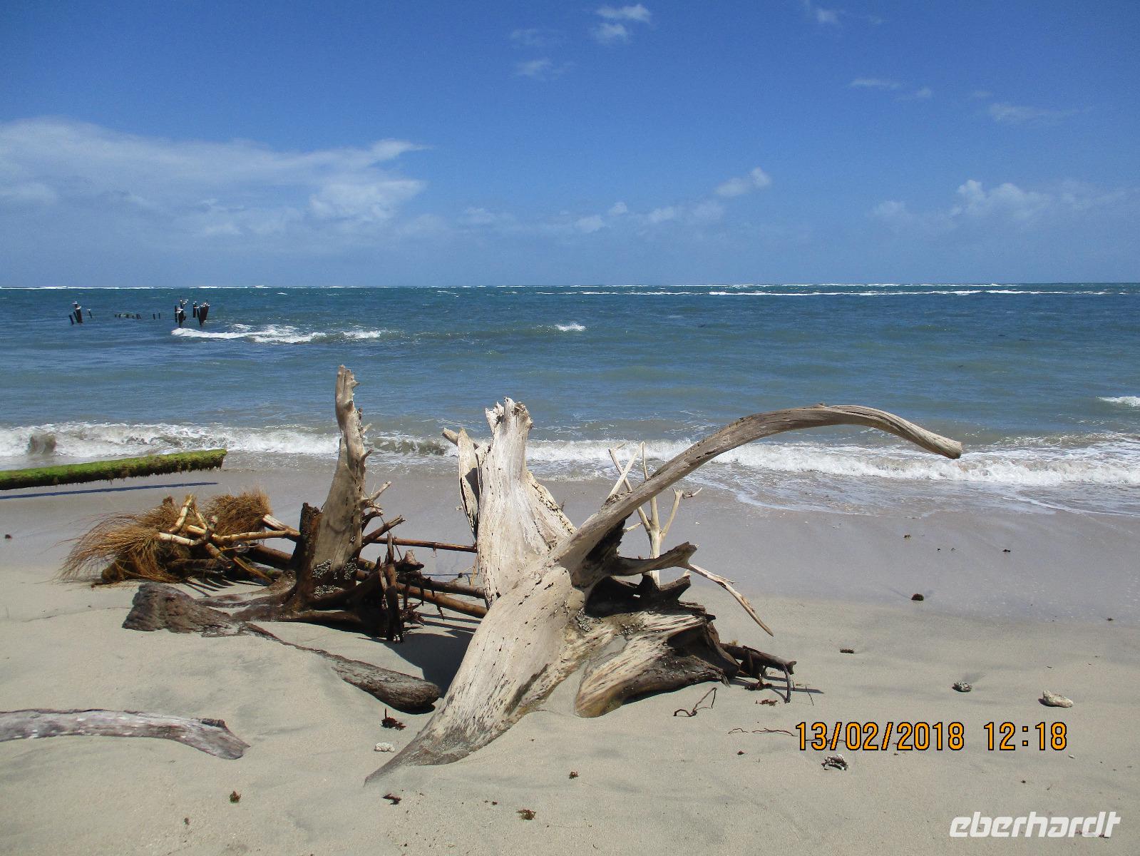 Cahuita Nationalpark &ndash; &copy; Constanze Hölig (Eberhardt TRAVEL)