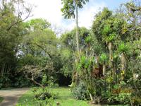 Lankester Botanischer Garten &ndash; &copy; Constanze Hölig (Eberhardt TRAVEL)