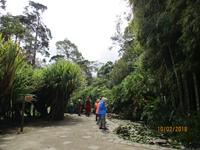 Lankester Botanischer Garten &ndash; &copy; Constanze Hölig (Eberhardt TRAVEL)
