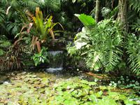 Lankester Botanischer Garten &ndash; &copy; Constanze Hölig (Eberhardt TRAVEL)
