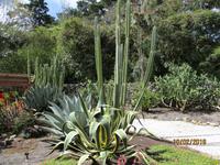 Lankester Botanischer Garten &ndash; &copy; Constanze Hölig (Eberhardt TRAVEL)