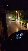 Costa Rica, Anreise ins Savegretal &ndash; &copy; Ria Heilmann (Eberhardt TRAVEL)