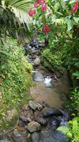 Costa Rica, Rafting Pacuare, Rio Tropical Lodge &ndash; &copy; Ria Heilmann (Eberhardt TRAVEL)