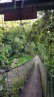 Costa Rica, Rafting Pacuare, Hängebrücke nahe der Lodge &ndash; &copy; Ria Heilmann (Eberhardt TRAVEL)