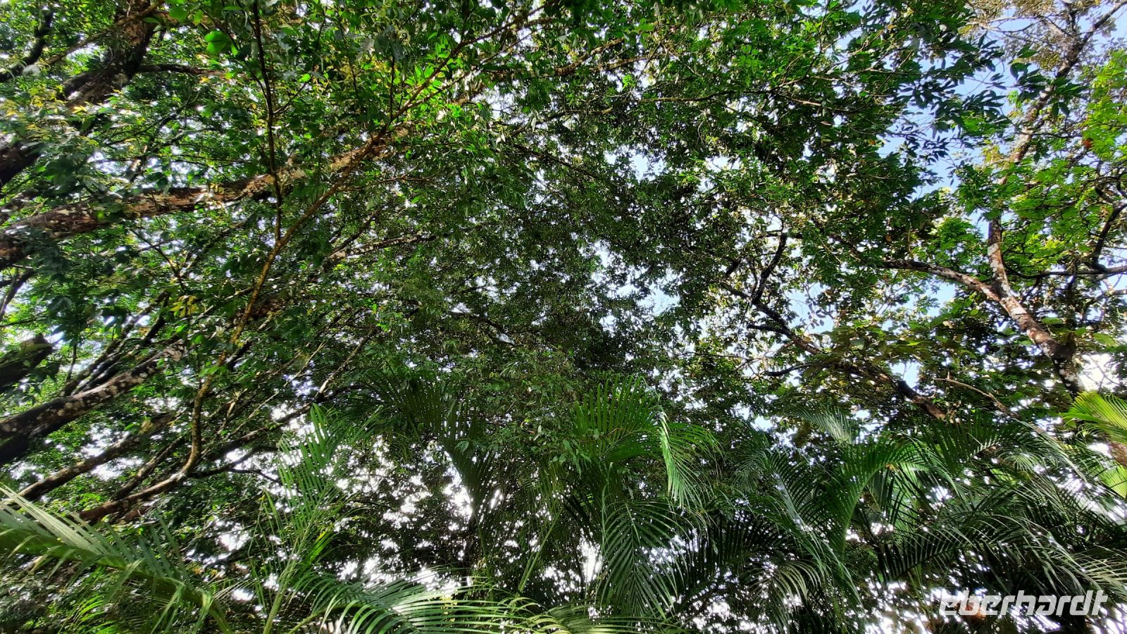 040  – Costa Rica, La Fortuna &ndash; &copy; Vivien Fiedler (Eberhardt TRAVEL)
