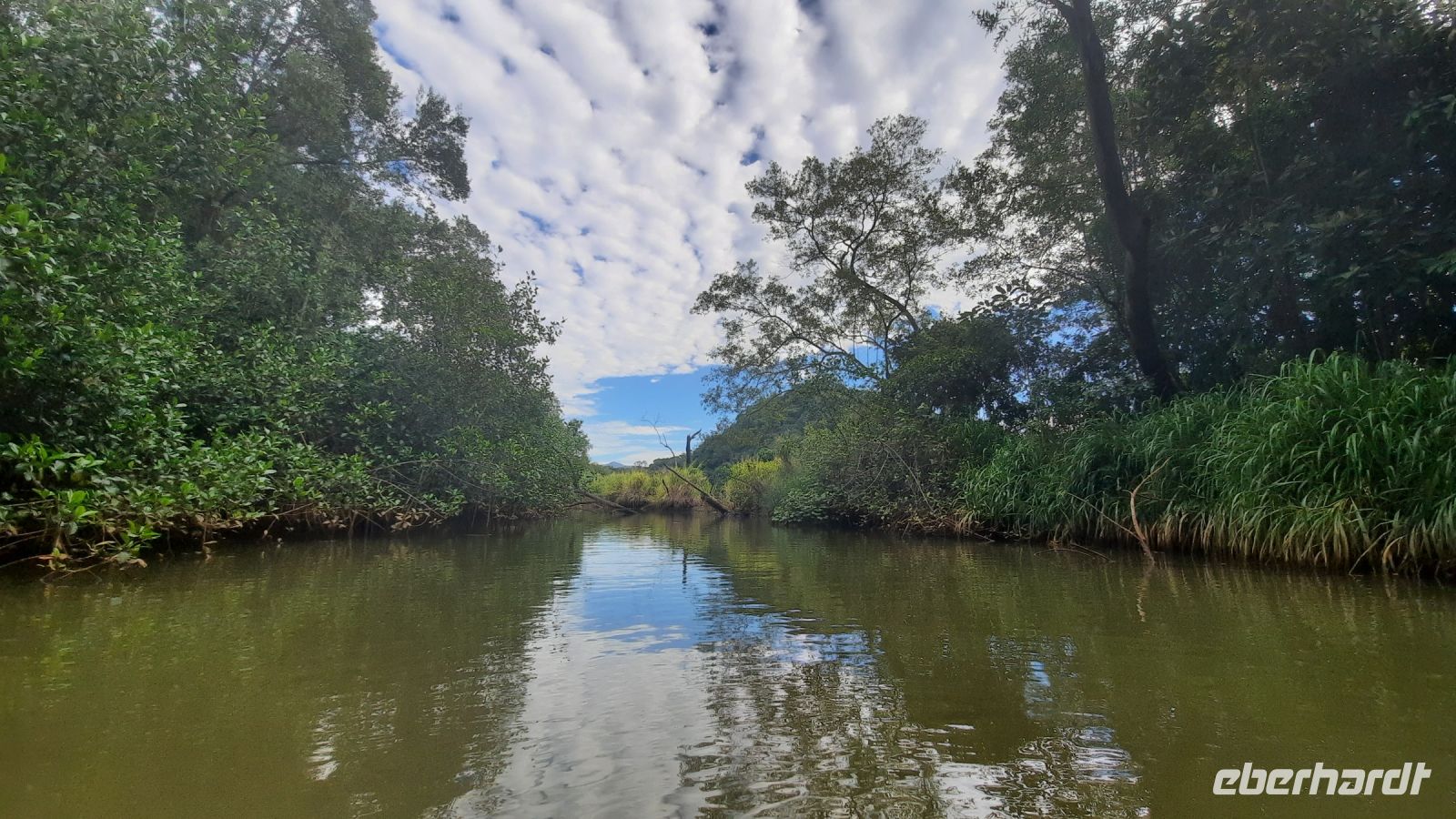 071 – Costa Rica, Ora Fluss, Kajak Tour, Mangroven &ndash; &copy; Vivien Fiedler (Eberhardt TRAVEL)