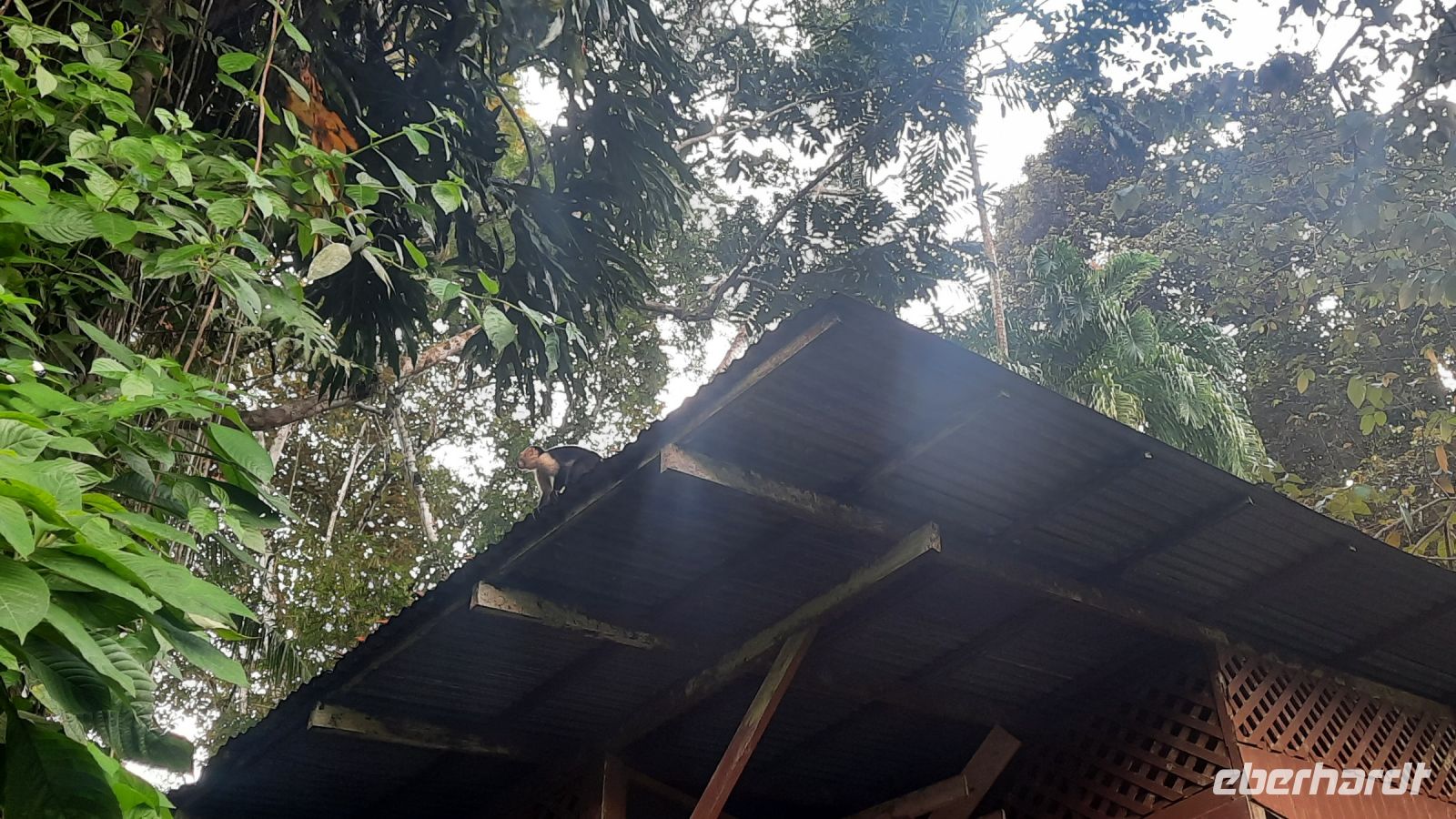 189 – Costa Rica, Aguila de Osa Inn &ndash; &copy; Vivien Fiedler (Eberhardt TRAVEL)