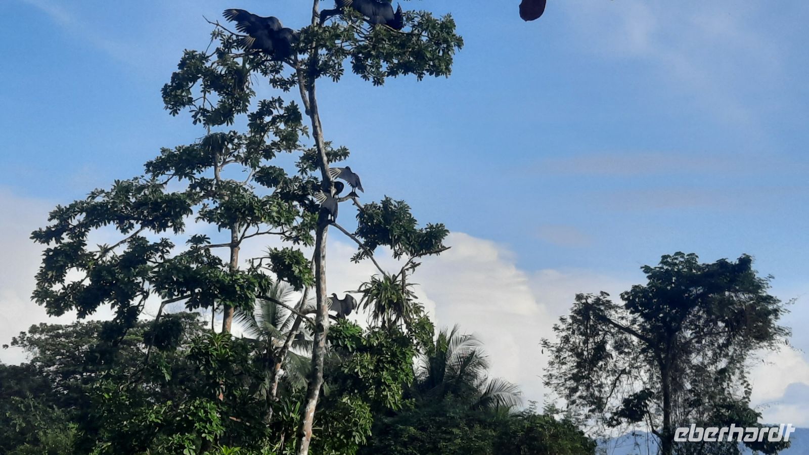 235 – Costa Rica, Corcovado-Nationalpark &ndash; &copy; Vivien Fiedler (Eberhardt TRAVEL)
