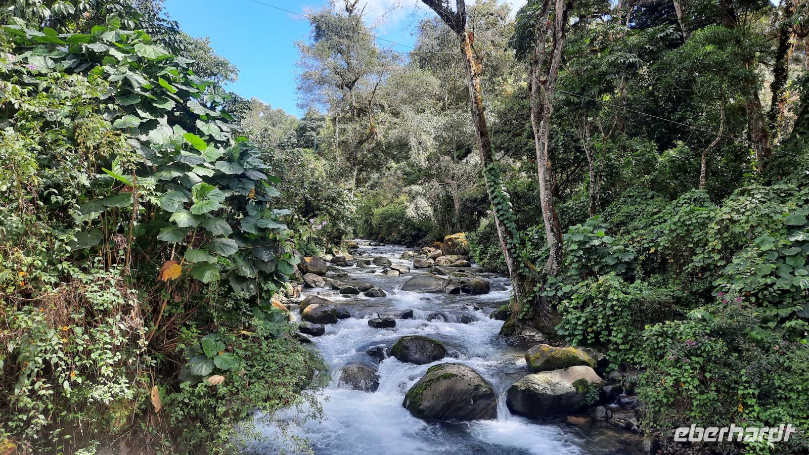 258 – Costa Rica, San Gerardo de Dota, Wanderung &ndash; &copy; Vivien Fiedler (Eberhardt TRAVEL)