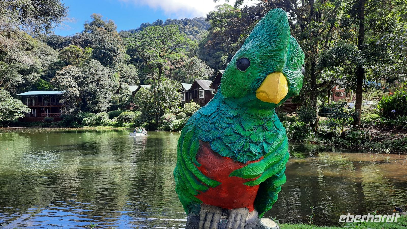 260 – Costa Rica, San Gerardo de Dota, Quetzal &ndash; &copy; Vivien Fiedler (Eberhardt TRAVEL)