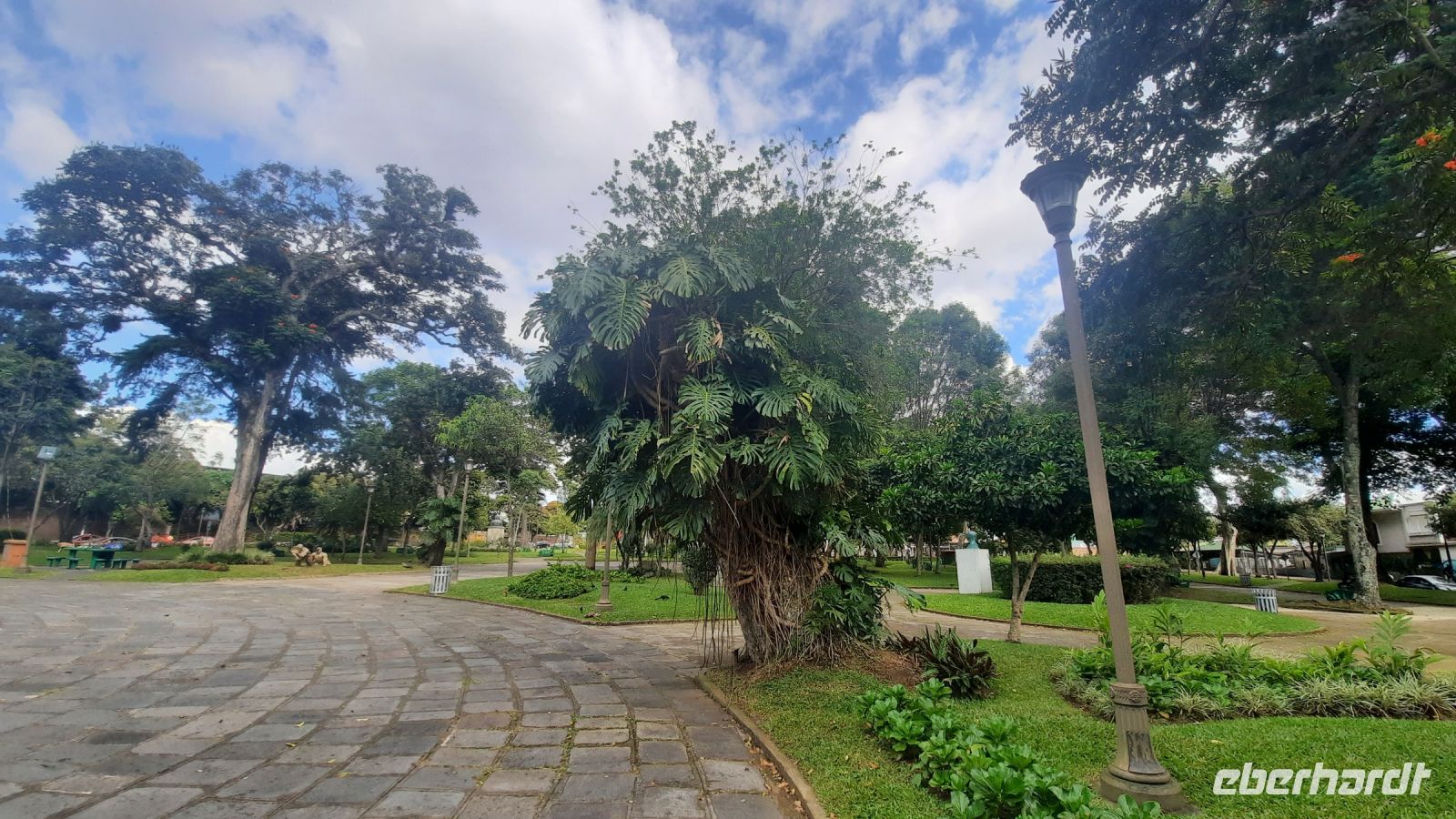 296 – Costa Rica, San Jeso, Park, Monstera &ndash; &copy; Vivien Fiedler (Eberhardt TRAVEL)