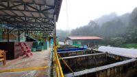 013 – Costa Rica, Kaffeeplantage