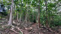 101 – Costa Rica, Werner Sauter Biological Reserve &ndash; &copy; Vivien Fiedler (Eberhardt TRAVEL)