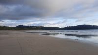 110 – Costa Rica, Samara, Strand &ndash; &copy; Vivien Fiedler (Eberhardt TRAVEL)