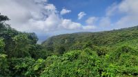 157 – Costa Rica, Monteverde Wanderung Nebelwald, Wetterscheide