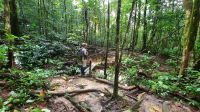 195 – Costa Rica, Corcovado-Nationalpark &ndash; &copy; Vivien Fiedler (Eberhardt TRAVEL)