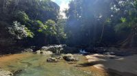 201 – Costa Rica, Corcovado-Nationalpark &ndash; &copy; Vivien Fiedler (Eberhardt TRAVEL)