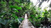 214 – Costa Rica, Aguila de Osa Inn &ndash; &copy; Vivien Fiedler (Eberhardt TRAVEL)