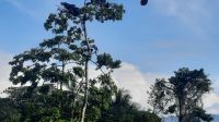 235 – Costa Rica, Corcovado-Nationalpark &ndash; &copy; Vivien Fiedler (Eberhardt TRAVEL)