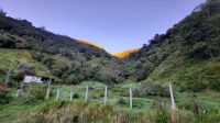 256 – Costa Rica, San Gerardo de Dota, Quetzal-Beobachtung &ndash; &copy; Vivien Fiedler (Eberhardt TRAVEL)