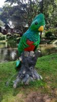 259 – Costa Rica, San Gerardo de Dota, Quetzal &ndash; &copy; Vivien Fiedler (Eberhardt TRAVEL)