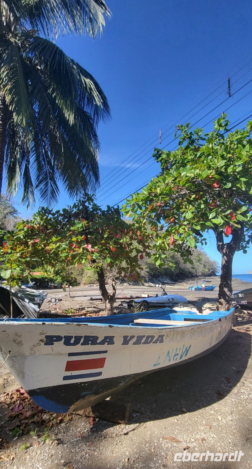 103 Playa &ndash; &copy; Susanne Schirmann (Eberhardt TRAVEL)