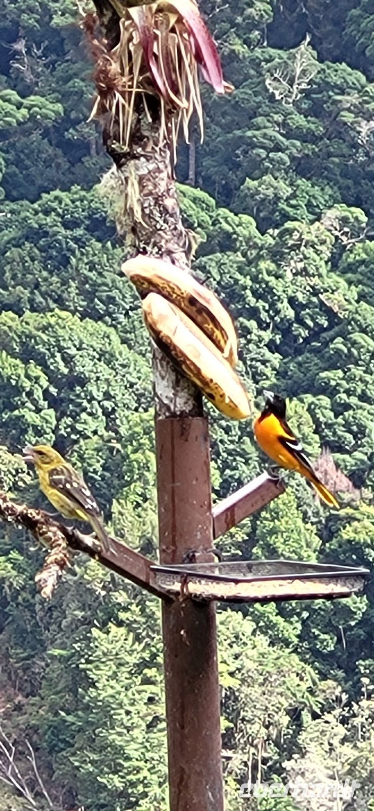 327 Vogelbeobachtung &ndash; &copy; Susanne Schirmann (Eberhardt TRAVEL)