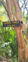 113 im Werner Sauter Biological Reserve &ndash; &copy; Susanne Schirmann (Eberhardt TRAVEL)