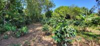 150 Dona Hermidas Paradies &ndash; &copy; Susanne Schirmann (Eberhardt TRAVEL)