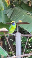 168 Vogelgesellschaft beim Mittagsstopp &ndash; &copy; Susanne Schirmann (Eberhardt TRAVEL)