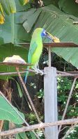 169 Vogelgesellschaft beim Mittagsstopp &ndash; &copy; Susanne Schirmann (Eberhardt TRAVEL)