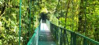172 Hängebrückenwanderung Monte Verde &ndash; &copy; Susanne Schirmann (Eberhardt TRAVEL)