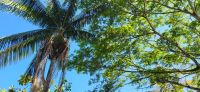 225 Costa Rica &ndash; &copy; Susanne Schirmann (Eberhardt TRAVEL)