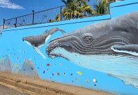 237 Drake Bay &ndash; &copy; Susanne Schirmann (Eberhardt TRAVEL)