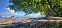 275 Strand am Nationalpark &ndash; &copy; Susanne Schirmann (Eberhardt TRAVEL)