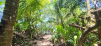 277 Weg durch den Nationalpark &ndash; &copy; Susanne Schirmann (Eberhardt TRAVEL)