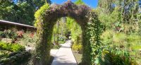 310 unser Garten &ndash; &copy; Susanne Schirmann (Eberhardt TRAVEL)