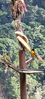 327 Vogelbeobachtung &ndash; &copy; Susanne Schirmann (Eberhardt TRAVEL)